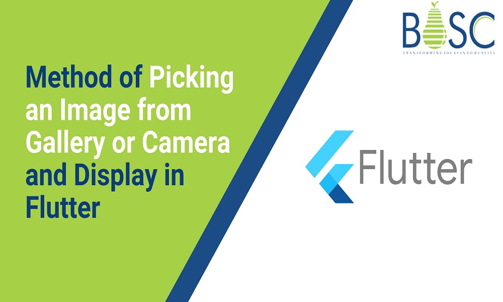 How To Pick An Image From Gallery Or Camera And Display It?